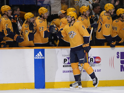 Sabres Predators Hockey