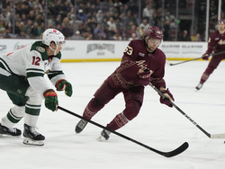 Wild Coyotes Hockey