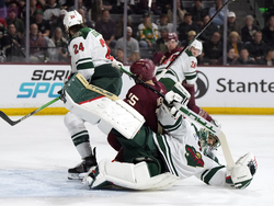 Wild Coyotes Hockey