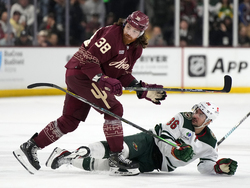 Wild Coyotes Hockey