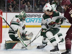 Wild Coyotes Hockey