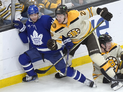 Maple Leafs Bruins Hockey