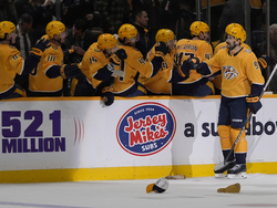 Sabres Predators Hockey