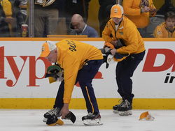 Sabres Predators Hockey