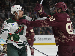 Wild Coyotes Hockey