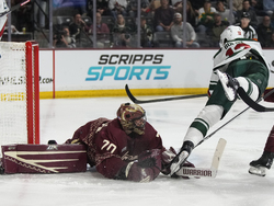 Wild Coyotes Hockey