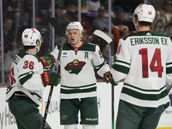 Wild Coyotes Hockey