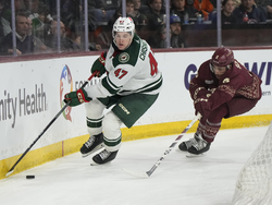 Wild Coyotes Hockey