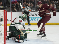 Wild Coyotes Hockey