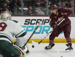 Wild Coyotes Hockey