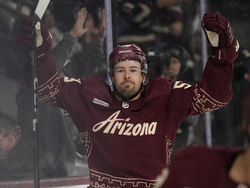 Wild Coyotes Hockey