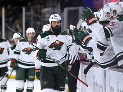 Wild Coyotes Hockey