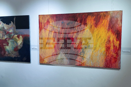 Добрич - галерия - изложба