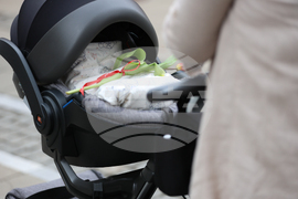 Благоевград - Осми март - ежедневие