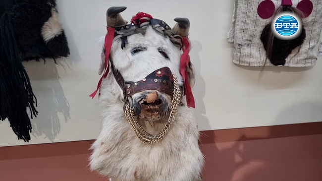 Кукерски персонажи и маски показва Регионален исторически музей - Ямбол в Добрич