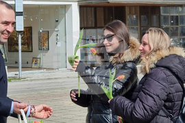 Кюстендил - Огнян Атанасов - лалета на сто дами