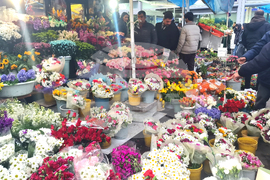 Турция - Анкара - 8 март