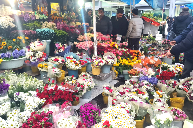 Ankara Celebrates Women's Day
