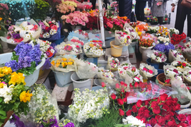 Турция - Анкара - 8 март