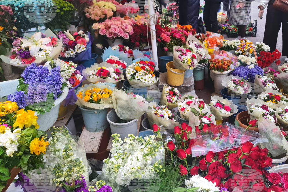 Турция - Анкара - 8 март