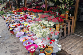 Турция - Анкара - 8 март