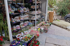 Турция - Анкара - 8 март