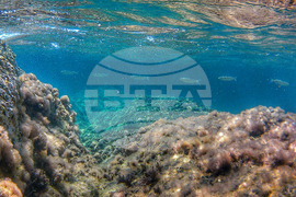 Гърция - лято - туристи