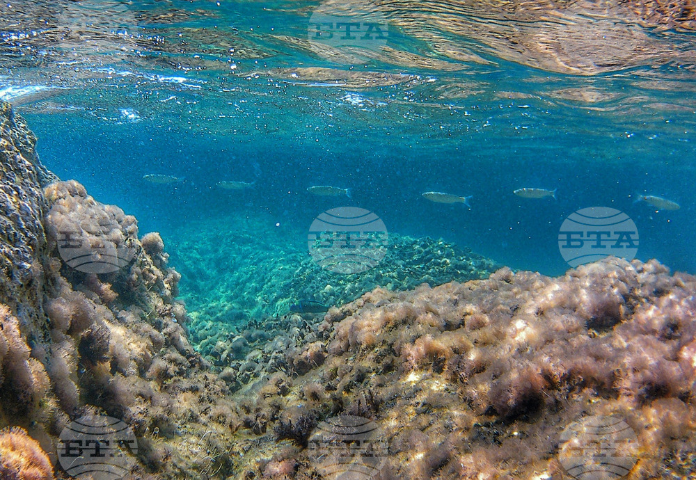 Гърция - лято - туристи