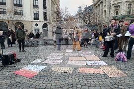 Румъния - демонстрация