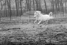Държавно предприятие „Кабиюк“