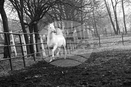 Държавно предприятие „Кабиюк“