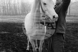 Държавно предприятие „Кабиюк“