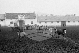 Държавно предприятие „Кабиюк“