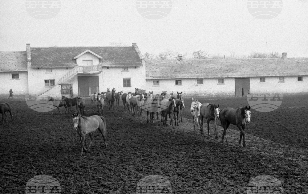 Държавно предприятие „Кабиюк“