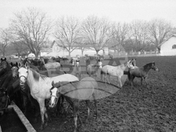Държавно предприятие „Кабиюк“