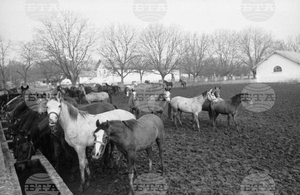 Държавно предприятие „Кабиюк“