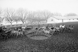 Държавно предприятие „Кабиюк“