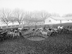 Държавно предприятие „Кабиюк“