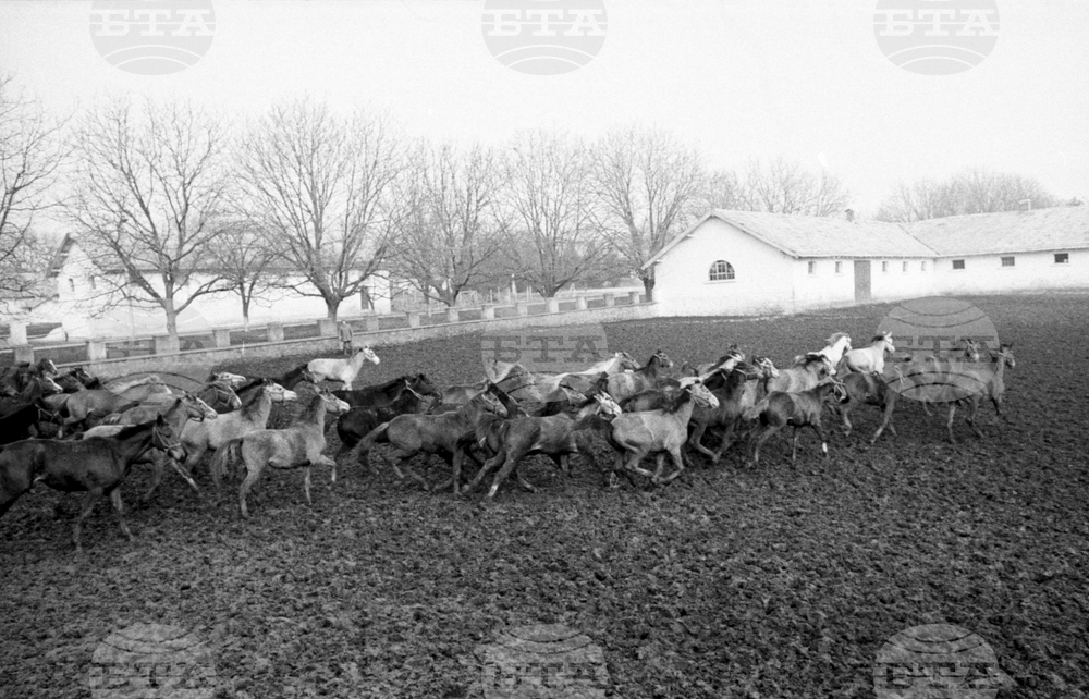 Държавно предприятие „Кабиюк“