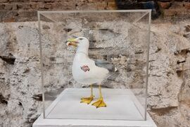 Варна - Калоян Илиев - Кокимото - изложба