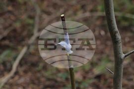 Кърджали - парк „Простор“ - открит урок