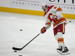 Flames Panthers Hockey