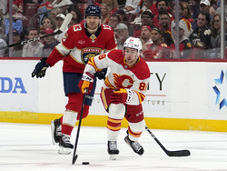 Flames Panthers Hockey