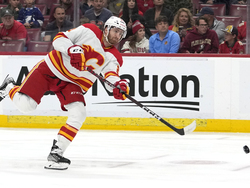 Flames Panthers Hockey
