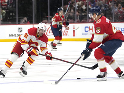 Flames Panthers Hockey