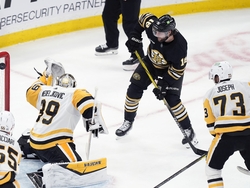 Penguins Bruins Hockey