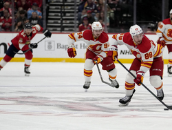 Flames Panthers Hockey