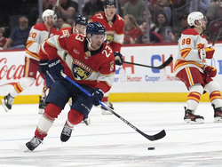 Flames Panthers Hockey