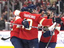 Flames Panthers Hockey