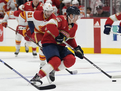 Flames Panthers Hockey